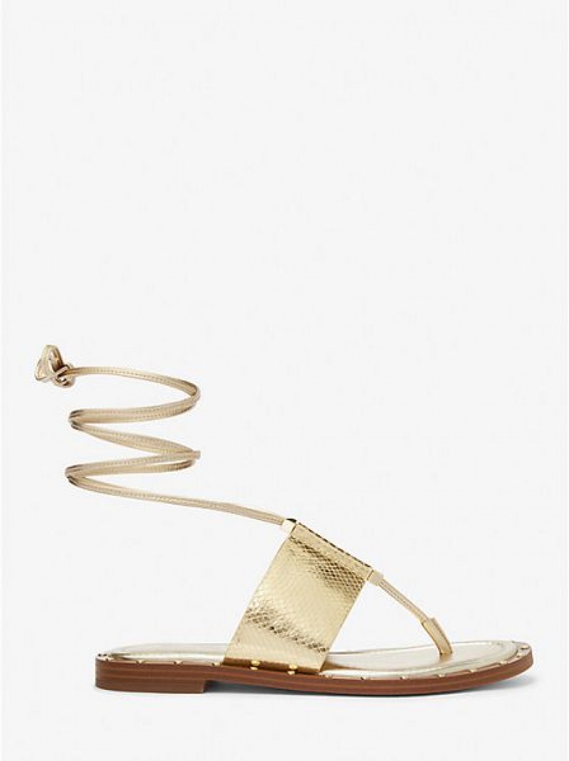 Sandalias Michael Kors Jagger Metallic Snake Embossed Cuero Encaje-up Mujer Doradas | 796031-IFY