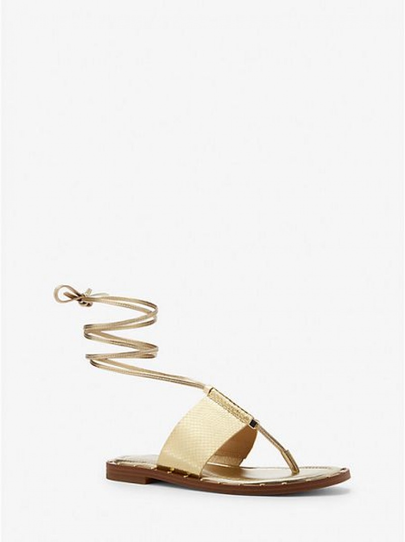 Sandalias Michael Kors Jagger Metallic Snake Embossed Cuero Encaje-up Mujer Doradas | 796031-IFY